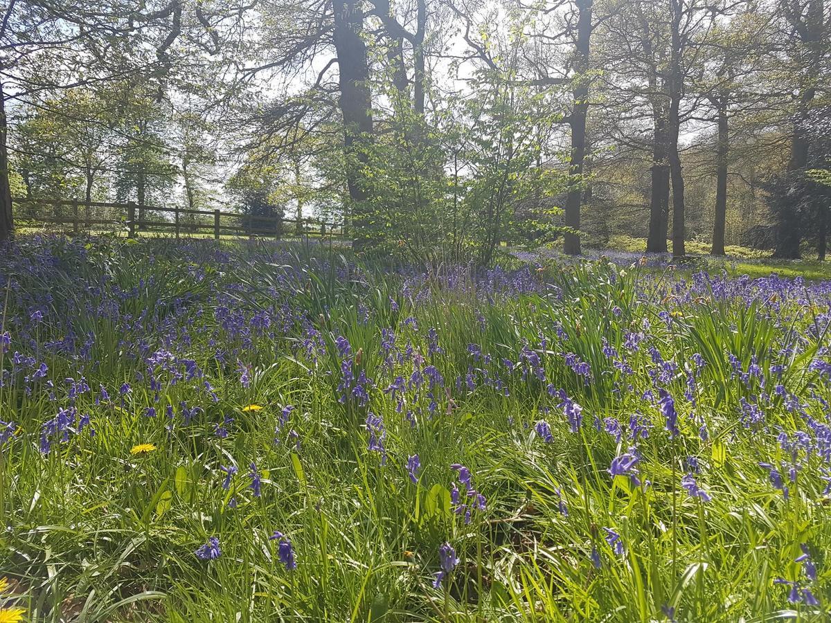 Kelham House Country Manor Hotel Newark upon Trent Екстериор снимка
